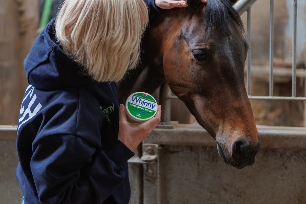 Whinny Repairing Balm